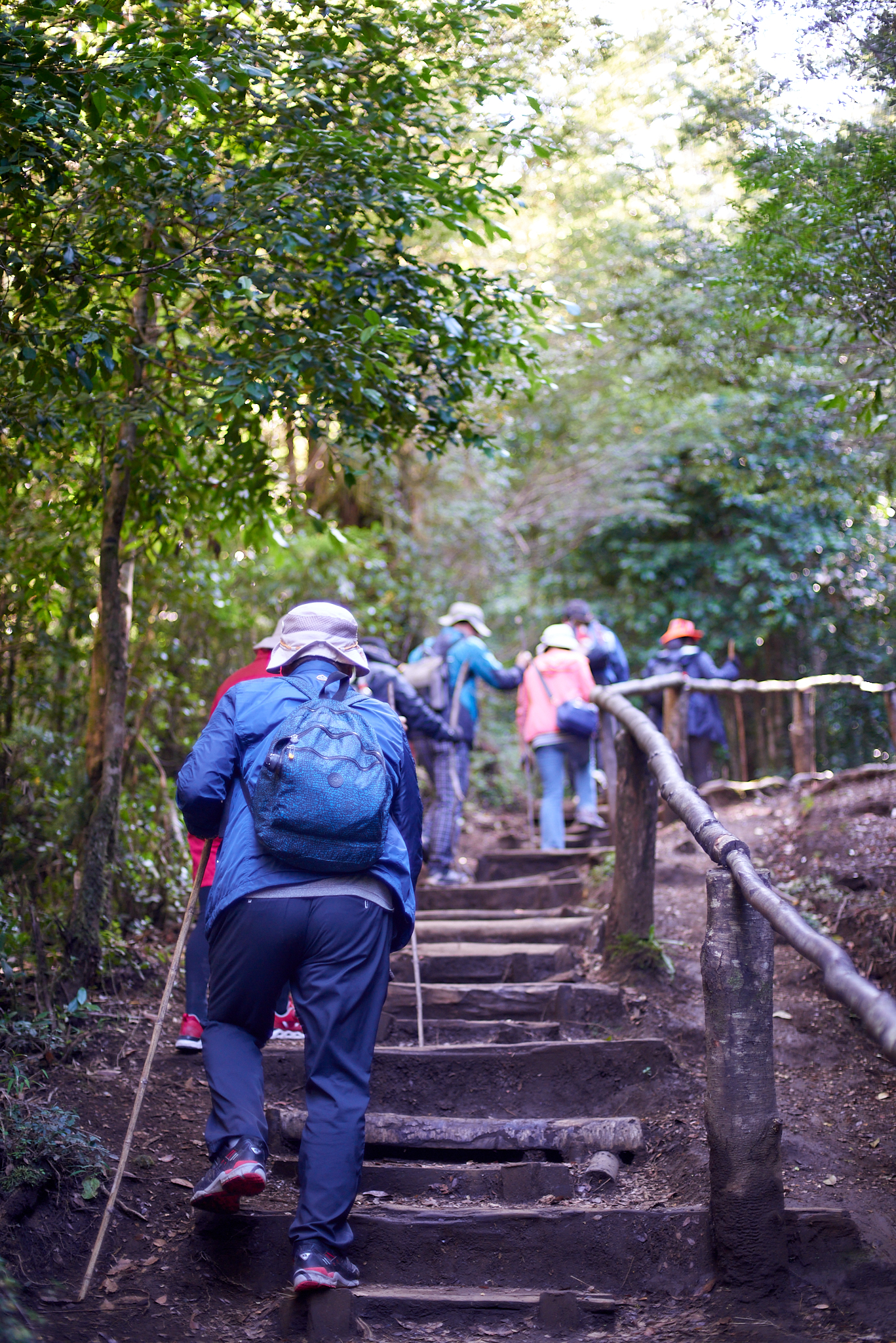 20200317 872 [칠레] 푸콘 우에르케우에 국립공원 트레킹